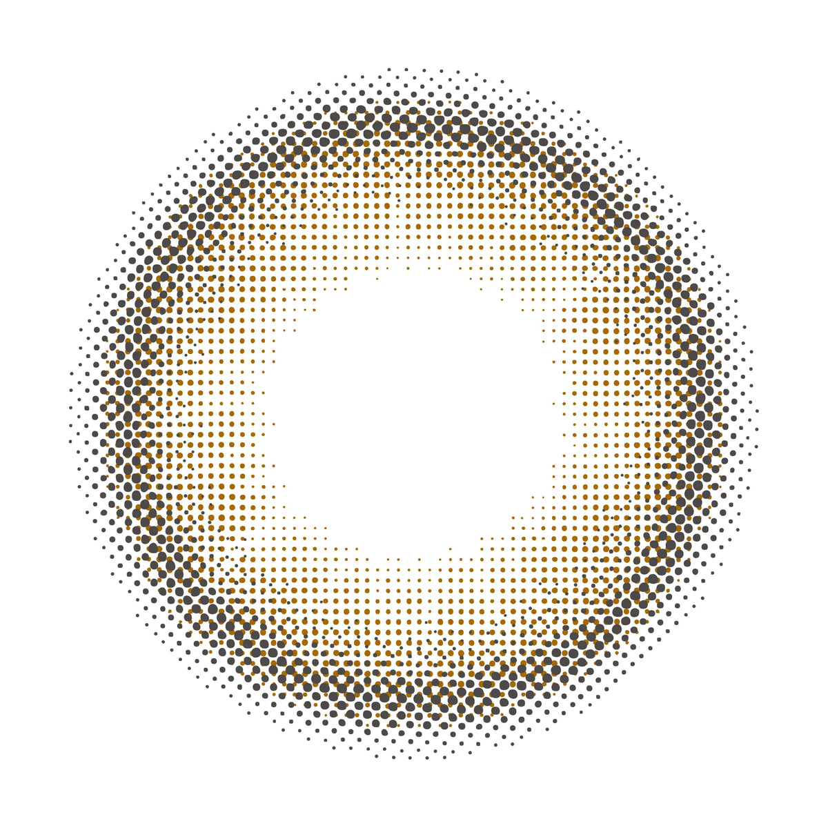 perse テディブラウン レンズ