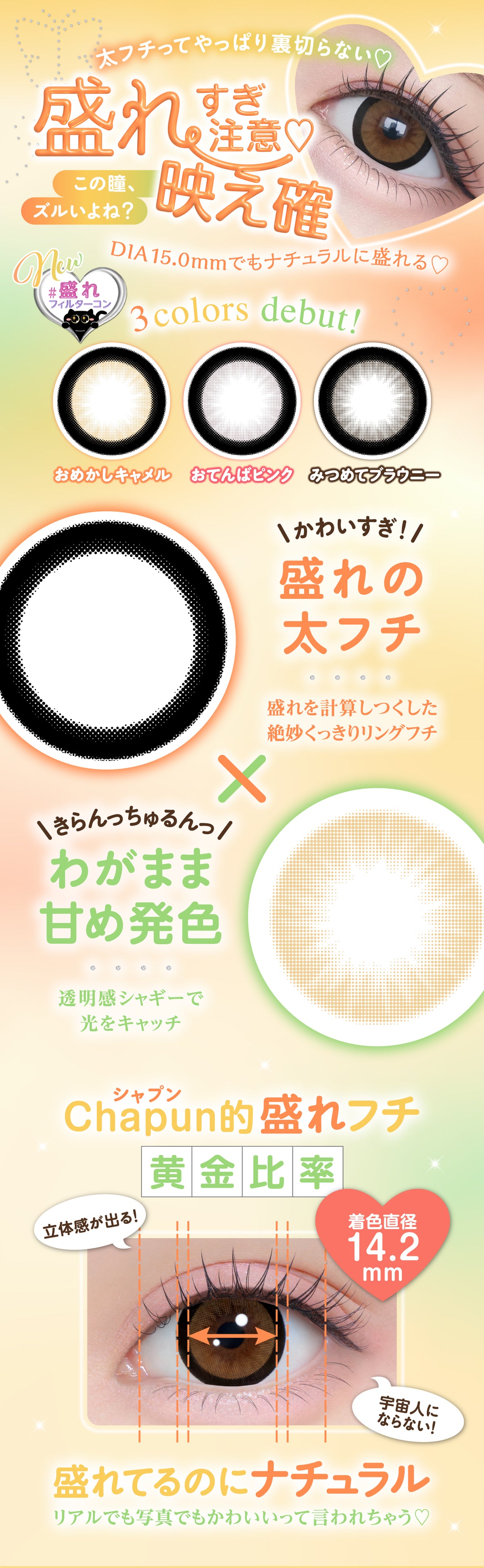 Chapun みつめてブラウニー 商品紹介 2/8
