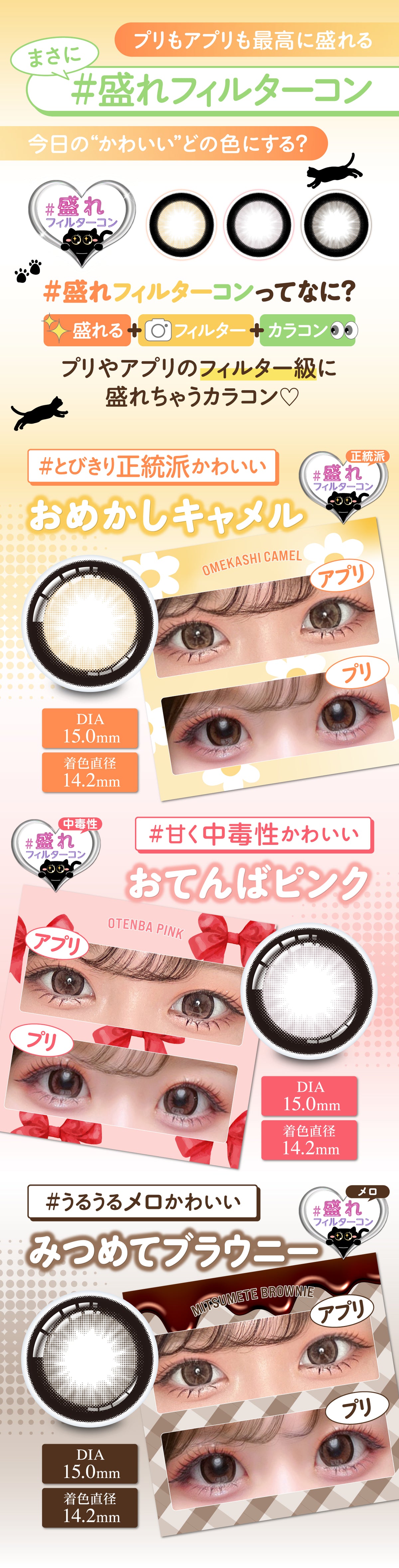 Chapun みつめてブラウニー 商品紹介 3/8