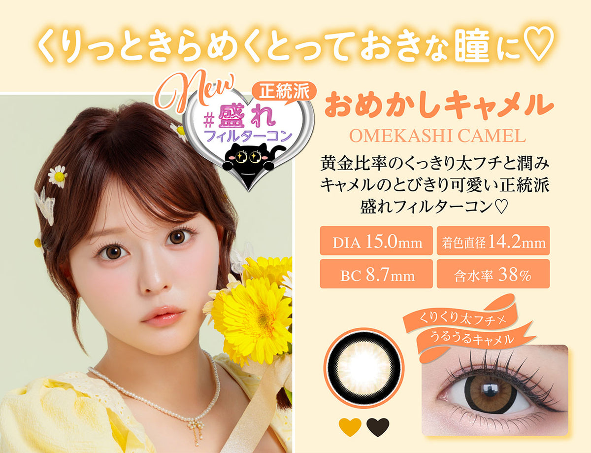Chapun おめかしキャメル 商品紹介 5/8