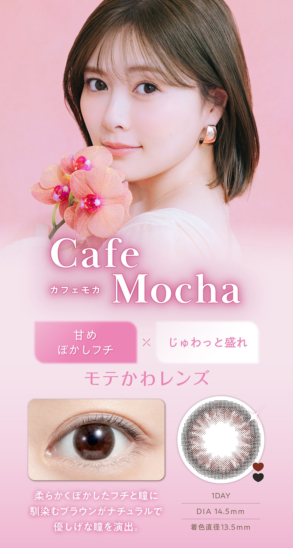 feliamo カフェモカ 商品紹介 2/4