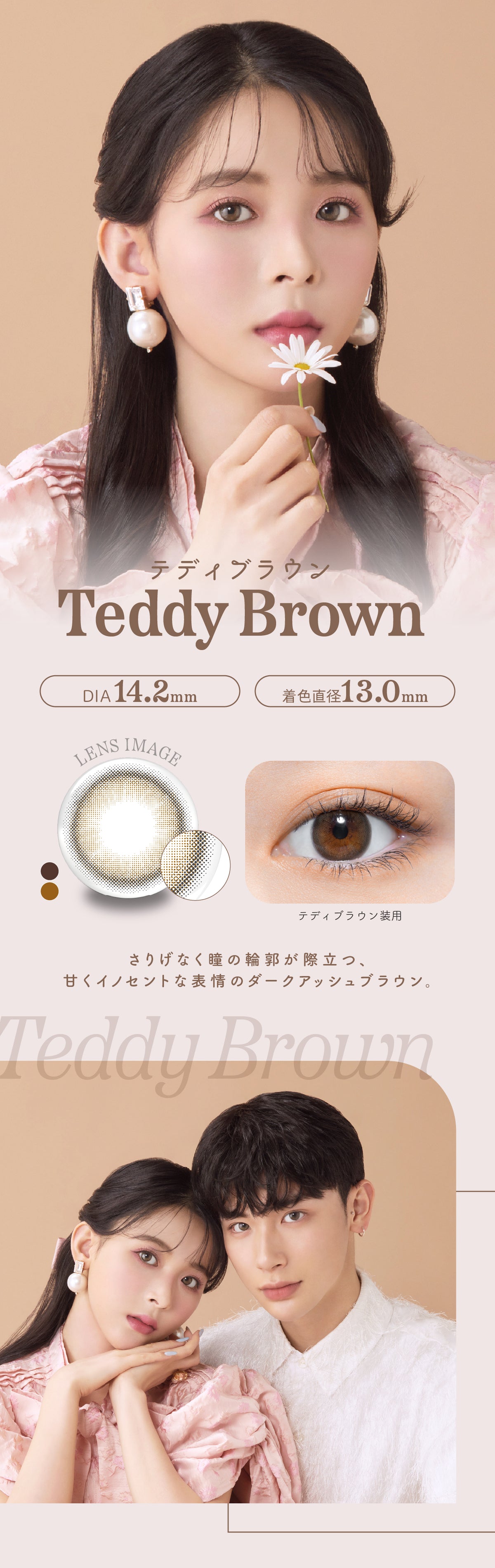 perse テディブラウン 商品紹介 2/6