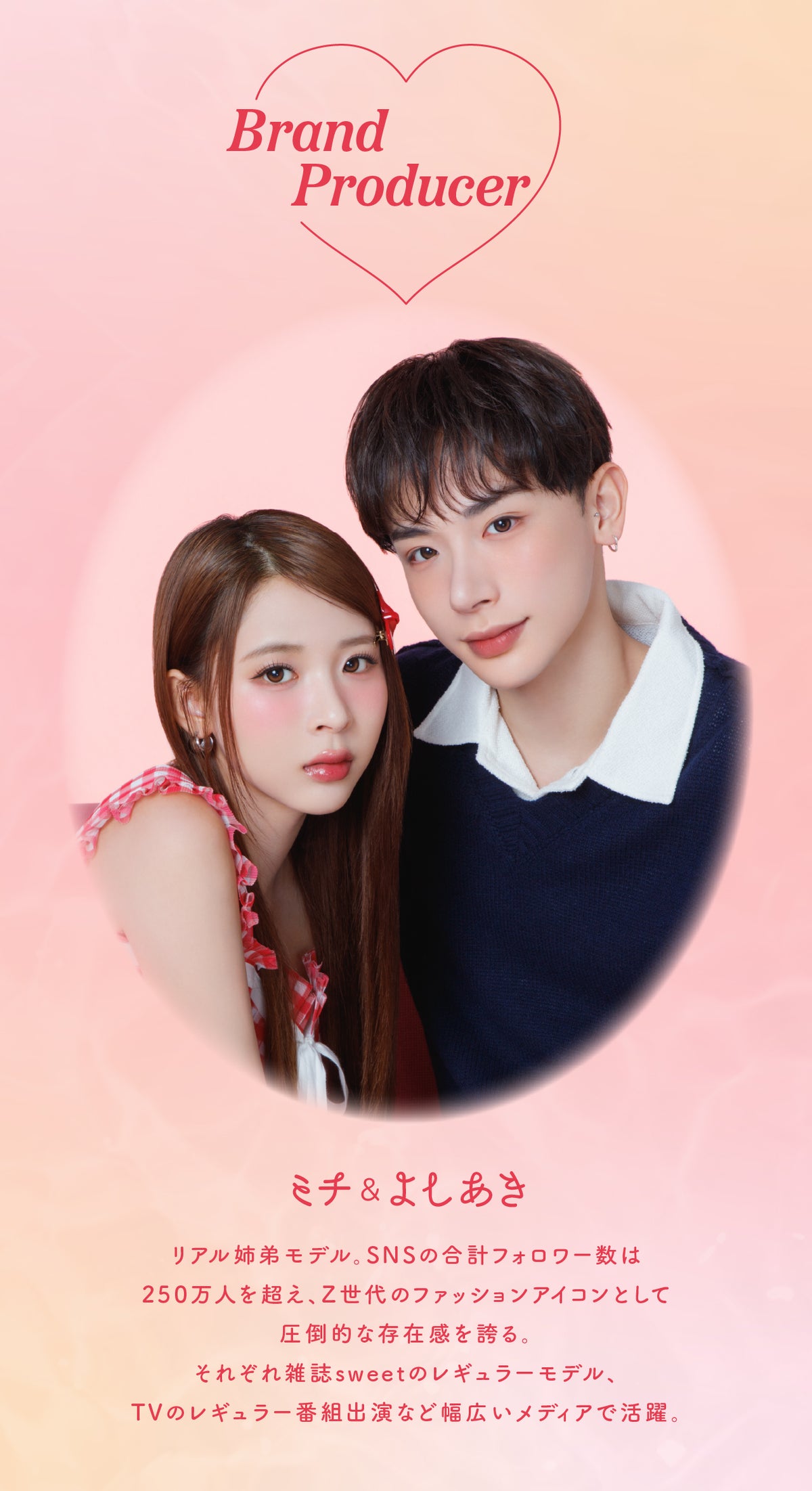 perse エアーグレー 商品紹介 6/6
