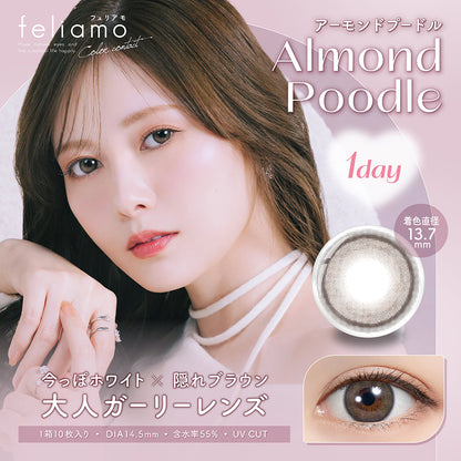 feliamo アーモンドプードル モデル装用イメージ