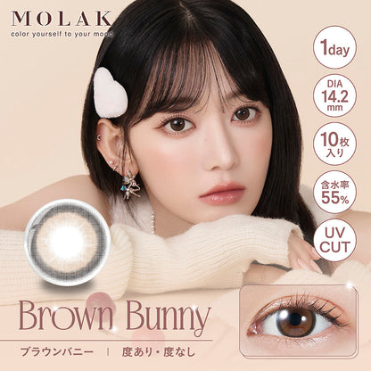 MOLAK ブラウンバニー モデル装用イメージ