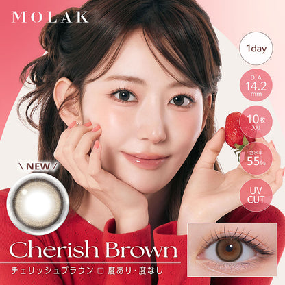 MOLAK チェリッシュブラウン モデル装用イメージ