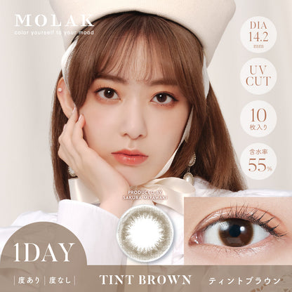 MOLAK ティントブラウン モデル装用イメージ